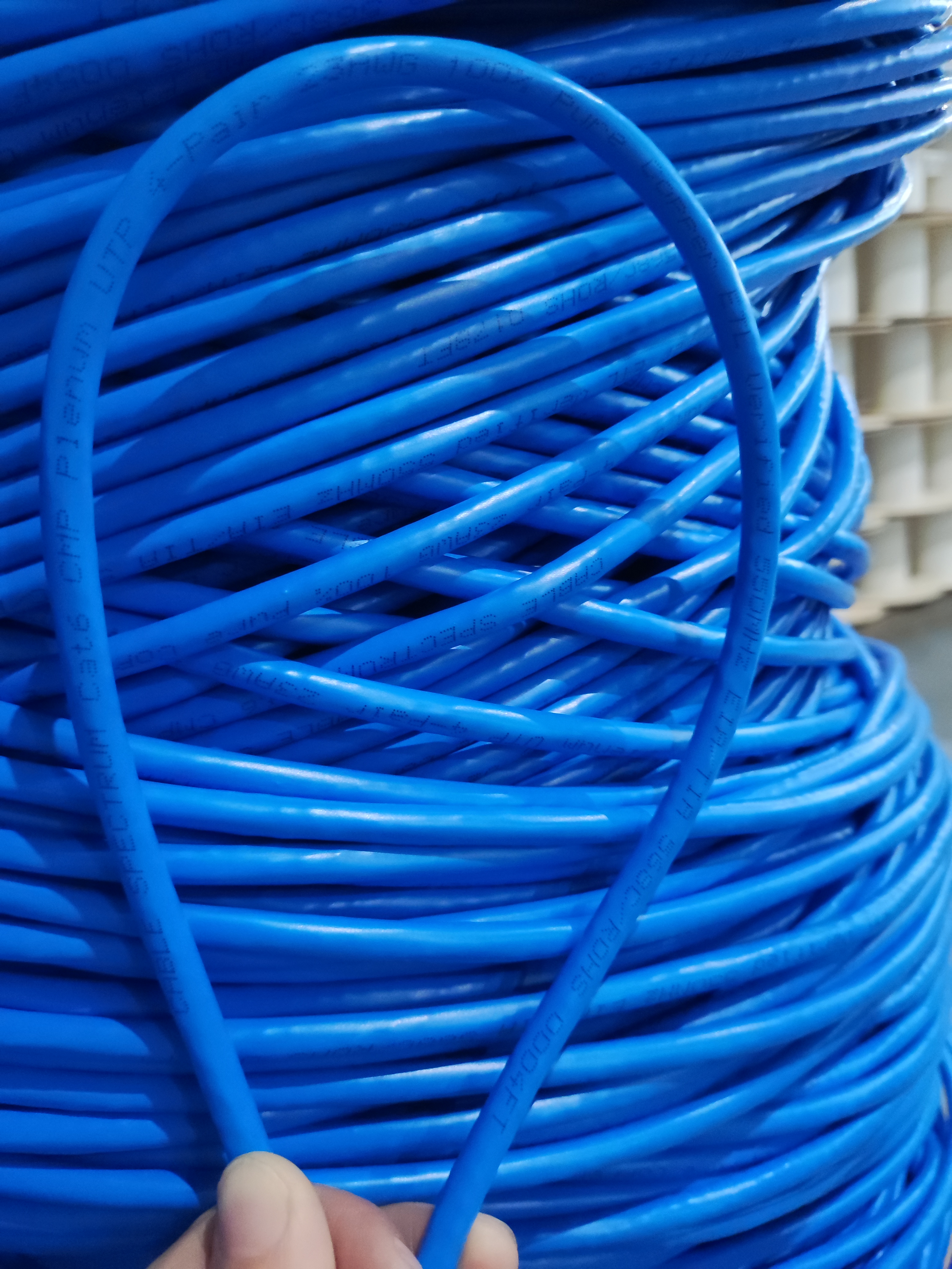 Cat6 Plenum Copper ETL Cable Marking
